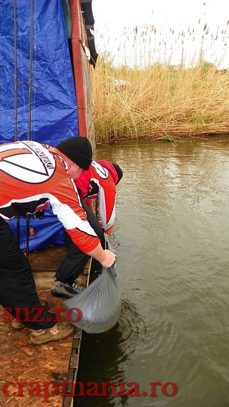 GREENFISH 2 - 1000456.jpg